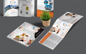 catalogue in so luong it tại đâu